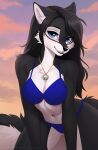 2024 anthro bikini biped black_body black_fur black_hair black_nose blue_bikini blue_clothing blue_eyes blue_swimwear breasts canid canine canis cheek_tuft chest_tuft cleavage clothed clothing cloud countershade_fur countershading digital_media_(artwork) eyebrows eyelashes facial_tuft female fur hair hi_res inner_ear_fluff jewelry layala long_hair looking_at_viewer mammal necklace outside shaded solo sunset swimwear tail text tuft url white_body white_countershading white_fur white_inner_ear white_inner_ear_fluff wolf