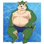 2024 anthro belly big_belly black_nose blush bottomwear canid canine canis clothing cute_fangs domestic_dog hi_res kemono lifewonders live_a_hero male mammal mokdai moobs navel nipples overweight overweight_male shorts solo swimwear yaki_atsuage