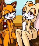  cream_the_rabbit marine_the_raccoon sega sonic_team sonicdash 