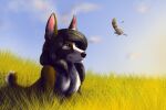 2020 anthro black_hair breasts canid canine canis cloud digital_media_(artwork) domestic_dog falling_feathers female fexneel_denisse field grass hair herding_dog hi_res mammal pastoral_dog plant scarlett_bellerose short_tail signature sky smile snout solo tail welsh_corgi