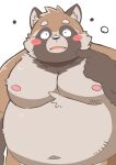2024 anthro belly big_belly bodily_fluids brown_body brown_fur canid canine fur hi_res humanoid_hands kemono male mammal moobs navel nipples overweight overweight_male puss3250 raccoon_dog simple_background solo sweat tanuki white_background