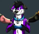  anthro begging bodily_fluids bowl canid canine canis collar crossybear_(artist) cum cum_in_bowl domestic_dog elkhound genital_fluids genitals knot male mammal pawalo penis pet spitz 