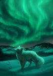  2014 ambiguous_gender arctic_fox aurora_borealis branch canid canine detailed detailed_background detailed_fur digitigrade feral fluffy fox fur grass green_theme hill kippycube light lighting mammal night outside plant side_view sky snow solo star starry_sky white_body white_fur winter 