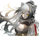  1girl animal_ears arknights bangs black_scarf breasts cat_ears commentary highres jacket large_breasts long_hair looking_at_viewer molianmengdada open_clothes open_jacket scarf schwarz_(arknights) silver_hair simple_background solo upper_body white_background white_jacket yellow_eyes 