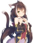  animal_ears kyaru_(princess_connect) nekomimi princess_connect princess_connect!_re:dive tagme tail 