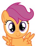  absurd_res alpha_channel cute_face equid equine female feral friendship_is_magic fur hair hi_res mammal my_little_pony orange_body pegasus scootaloo_(mlp) simple_background smile smiling_at_viewer sollace solo spread_wings svg transparent_background vector wings young 