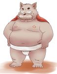  2019 anthro belly canid canine canis domestic_dog humanoid_hands kemono male mammal moobs navel nipples overweight overweight_male simple_background solo sumo toshi_(artist) 