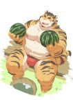  2020 anthro ayame42612 belly bulge clothing felid food fruit humanoid_hands kemono male mammal melon moobs nipples overweight overweight_male pantherine plant pubes sitting solo tiger underwear watermelon 