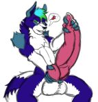  anthro balls big_balls big_knot big_penis blue_body blue_fur blue_hair bodily_fluids canid canine canis cheeky_expression cheeky_grin cum_leaking fur genital_fluids genitals green_eyes green_highlights grin hair hi_res highlights_(coloring) huge_penis hybrid hyper hyper_genitalia hyper_penis knot knot_grab male mammal penis precum savus_row simple_background smile smug solo speech_bubble squeezing_penis turquoise_fur tyr_ulfrhundr white_body white_fur wolfdog 