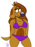  3:4 anthro bikini breasts camel_toe canid canine canis catdog_(series) clothing digital_drawing_(artwork) digital_media_(artwork) domestic_dog fan_character female link420 mammal nickelodeon panties scarlett_(link420) solo swimwear underwear 