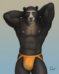  4:5 abs anthro black_body black_fur bulge clothing fur hands_behind_head hi_res jockstrap looking_at_viewer male mammal muscular muscular_male nipples orange_clothing orange_underwear rov signature simple_background solo spectacled_bear standing tremarctine underwear ursid 