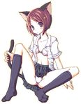  animal_ears brown_hair cat_ears cat_tail kitten kneehighs long_socks neko panties skirt tail tail_holding underwear white_panties 