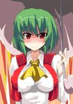  ascot blush breasts green_hair impossible_clothes impossible_shirt kazami_yuuka large_breasts okumari red_eyes shirt smile solo touhou umbrella upper_body vest 