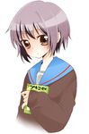  bad_id bad_pixiv_id banjima_buki book brown_eyes cardigan grey_hair kita_high_school_uniform nagato_yuki school_uniform serafuku short_hair solo suzumiya_haruhi_no_yuuutsu 