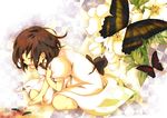  brown_hair bug butterfly flower hand_on_own_chest insect kuusou_ryodan short_hair solo tears zaregoto_series 
