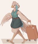 2024 absurd_res anthro avian bird clothed clothing dated digital_media_(artwork) feathered_wings feathers female fully_clothed hi_res luggage signature simple_background solo tohupo walking white_body white_feathers wings