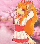 accessory anthro asian_clothing bell_bow bow_ribbon breasts canid canine ceroba_(undertale_yellow) cherry_blossom cherry_petals cherry_tree choker clothing east_asian_clothing facial_tuft female fox fruit_tree hair hair_accessory hair_bow hair_ribbon hi_res japanese_clothing jewelry linix_tt long_hair looking_at_viewer mammal medium_breasts multicolored_clothing multicolored_yukata natural_breasts necklace plant pupils red_clothing red_eyes red_hair red_yukata ribbons sakura slit_pupils solo tail tree two_tone_clothing two_tone_yukata tying_hair undertale_(series) undertale_yellow white_clothing white_yukata yukata