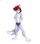 2017 anthro blue_clothing blue_underwear blush briefs bulge canid canine chest_tuft clothed clothing drjoshfox embarrassed feet fox fur grey_body grey_fur hair hands_on_hips hi_res knee_tuft leg_tuft looking_at_viewer male mammal pattern_clothing pattern_underwear paws red_hair short_hair simple_background solo standing striped_clothing striped_underwear stripes tail topless tuft underwear white_background white_body white_fur