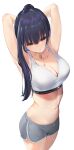  1girl absurdres adjusting_hair armpits arms_behind_head arms_up blue_hair boku_no_kokoro_no_yabai_yatsu boyshort_panties breasts brown_eyes charm_(object) cleavage closed_mouth collarbone crop_top dark_blue_hair from_above grey_panties hand_in_own_hair high_ponytail highres large_breasts long_hair looking_at_viewer mouth_hold navel panties simple_background solo sports_bra underwear underwear_only white_background white_sports_bra yamada_anna zah_takara 