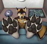  4_toes anthro canid canine canis chain clock clothed clothing dannydumal feet foot_focus furniture hi_res male mammal pawpads smile sofa solo staggard toes topless wolf 