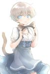  1girl alternate_costume animal_ears blonde_hair blue_eyes blush buttons cat_ears cat_tail cowboy_shot dirndl eyebrows_visible_through_hair fake_animal_ears german_clothes hair_between_eyes highres holding kantai_collection karin_bluez3 short_hair short_sleeves simple_background solo tail white_background z1_leberecht_maass_(kantai_collection) 
