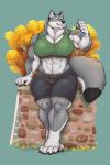  2018 anthro big_muscles biped bottomwear breasts canid canine canis cleavage clothed clothing digital_media_(artwork) female fluffy fluffy_tail full-length_portrait fur gravewalker grey_body grey_fur karawuff looking_at_viewer macro mammal midriff muscular muscular_female paws portrait pose shirt shorts simple_background solo tank_top topwear tree water_bottle wolf 