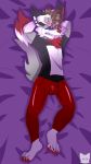  absurd_res anthro canid canine clothed clothing dakimakura_design digital_media_(artwork) fox fur hair hi_res josendall josendall_art looking_at_viewer male mammal paws red_eyes shadow_(josendall) simple_background solo 