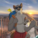  1:1 anthro arm_around_neck backpack beach brooks brooks_(colt3n) canid canine canis clothing cloud colt3n dave_walker diaper duo eyewear father father_and_child father_and_son fence fur grey_body grey_fur hi_res mammal navel outside parent parent_and_child sand sea seaside shovel sky smile son sunglasses sunset swimming_trunks swimwear tools water wolf 