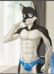  anthro blue_clothing blue_underwear canid canine chest_tuft clothed clothing fur male mammal multicolored_body multicolored_fur pngx_(artist) solo topless tuft underwear 