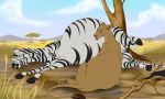  2019 brown_body brown_fur disney duo equid equine eyes_closed felid female female/female feral feral_on_feral fur grass hooves licking lion mammal nala outside pantherine patch_(artist) paws pregnant quadruped savanna striped_body stripes teeth the_lion_king tongue tongue_out tree zebra 