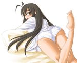  haruna_saotome negima tagme 