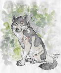  2020 absurd_res blue_eyes canid canine canis feral hi_res male mammal rakan scar traditional_media_(artwork) wolf wolfgryph 