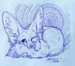  2020 4_toes ambiguous_gender canid canine fennec feral fox fur hi_res kashmere mammal paws solo toes traditional_media_(artwork) 