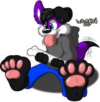 anthro big_feet bone canid canine canis clothing domestic_dog elkhound feet floppy_ears hi_res hoodie male mammal marquis2007 pawalo pawpads paws solo spitz tailwag tongue tongue_out topwear 