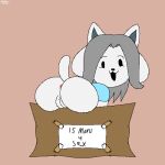 box butt canid canine container female flashing genitals hi_res mammal pussy solo spanky15 tem temmie_(undertale) undertale undertale_(series)