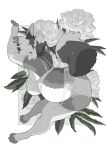 absurd_res anthro armwear bra canid canine canis clothed clothing digital_media_(artwork) female fingerless_armwear flower fluffy fluffy_tail fur garter_belt garter_straps hair hi_res legwear lingerie mammal paeonies panties plant portrait solo tail taracod toeless_legwear underwear wolf