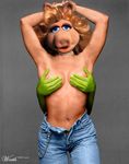  kermit_the_frog miss_piggy muppets tagme worth 