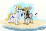  3:2 asinus beach bulge capt_hairball clothed clothing connie digital_media_(artwork) donkey duo equid equine eyewear feral friendship_is_magic horn jenny long_ears male mammal my_little_pony prince_blueblood_(mlp) seaside simple_background standing sunglasses swimwear unicorn 