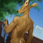  anthro antlers back_muscles beastars brown_body brown_fur cervid clothing drawwithlaura fur holding_clothing horn louis_(beastars) male mammal nude outside rear_view scut_tail solo standing 