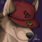  1:1 2009 anthro baseball_cap black_nose brown_body brown_fur canid canine canis clothing digital_media_(artwork) domestic_dog fur hat headgear headshot_portrait headwear hushhusky husky male mammal nordic_sled_dog portrait signature smile solo spitz 