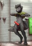  animal_genitalia animal_penis balls canid canine canine_penis canis clothing genitals hi_res knot male mammal penis shower solo thony_dog undressing wolf 