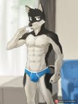 3:4 anthro blue_clothing blue_underwear bulge canid canine canis chest_tuft clothed clothing domestic_dog fur hi_res male mammal multicolored_body multicolored_fur pngx_(artist) solo text topless tuft underwear url 