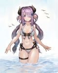  bikini granblue_fantasy narumeia_(granblue_fantasy) swimsuits tagme wet 