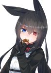  1girl animal_ears black_hair blue_eyes dress_shirt eating food fox_ears gloves heterochromia highres kurousagi_tetora long_hair long_sleeves original red_eyes shirt waffle 