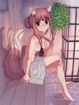  1girl absurdres animal_ears breasts brown_hair fang feet highres holo jewelry koume_keito long_hair medium_breasts necklace nude pouch red_eyes resized sauna sitting smile spice_and_wolf tail third-party_edit tied_hair towel upscaled wolf_ears wolf_tail 