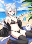  1girl absurdres animal_ear_fluff animal_ears ataem beach bikini bikini_under_clothes black_bikini black_jacket blue_sky breasts cat_ears cat_girl cat_tail clothes_down cup day drinking_glass extra_ears grey_hair highres holding holding_cup jacket large_breasts maro_(neneko_mashiro) multicolored_hair navel neneko_mashiro ocean open_clothes open_jacket outdoors palm_leaf red_eyes red_hair sandals short_hair sitting sky stellive stomach streaked_hair sweat swimsuit tail tongue tongue_out two-tone_hair virtual_youtuber 