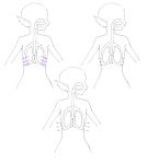  ambiguous_gender anatomy breathing diagram ear_fins fin gills hi_res humanoid humanoid_pointy_ears kaname_buccaneer lungs macross madiblitz marine merfolk solo 