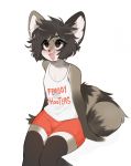  anthro blush bottomwear brown_eyes brown_hair bulge clothed clothing digital_media_(artwork) femboy_hooters fredek666 girly hair happy hi_res hooters legwear male mammal meme open_mouth shirt shorts simple_background sitting solo tank_top thigh_highs topwear white_background 