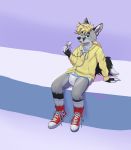 absurd_res anthro chuck_taylor_all_stars clothing converse converse_shoes diaper footwear hi_res hoodie legwear looking_at_viewer male pacifier pacifier_clip plantigrade scuzzyfox shoes sitting sneakers socks solo topwear 
