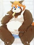  2020 ailurid anthro belly blue_eyes blush bulge clothing hi_res kemono male mammal overweight overweight_male red_panda shirt sitting solo topwear tsurugi underwear 